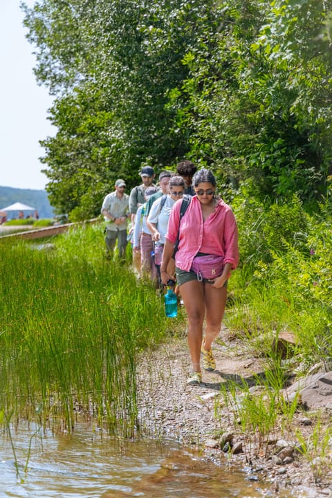 A line of hikers walking single file along a path beside a lake, packs on, forest closing in on both sides